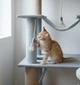 Высокий игровой кошачий комплекс когтеточка с большим домиком гамаком коту кошке 195х80х60см серый - изображение 4