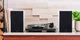 Alpha AM5 Powered Bookshelf Speakers Matte White - зображення 4