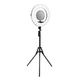 Лампа Fill Light FD-480II потужність 96W, індекс передачі кольору 95Ra, діапазон колірної температури 3200-5500K Black - зображення 1