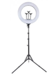 Кольцевая LED лампа RL-14 36 Вт 36см 220V с креплением для телефонов, регулировкой температур и пультом управления - изображение 1