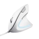 Миша Trust Verto Ergonomic USB-A White біла вертикальна ергономічна провідна миша 1600 DPI з підсвічуванням 6 кнопок - зображення 6