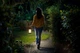 Кемпінговий ліхтар Philips LED Camping luminaire Cicero 6 Вт 5000K 4000 мА/год літієва батарейка Чорний (929003241607) - зображення 6