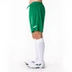 Шорты зеленые Joma NOBEL 100053.450 Joma 6XS-5XS - изображение 4