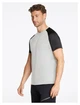 Футболка Ziener Nabalis dusty grey (48) - изображение 2