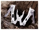 Мультитул NexTool Silver Blade EDC (FNR_NE20182) - изображение 4