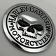 Металлический шильдик эмблема ЧЕРЕП Харли Дэвидсон Harley Davidson 65 мм Motorcycles - изображение 4