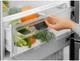 Холодильник ELECTROLUX LNT5ME36U1 322262 - изображение 6
