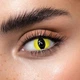 Жовті контактні лінзи ELITE Lens Кет елоу 2 шт - зображення 4