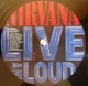 Nirvana - Live And Loud (2 пластинки, Раскладная обложка, 180 грамм, Альбом) - изображение 11