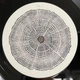 Roger Eno - The Turning Year (180 грамм, Альбом) - изображение 7