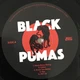 Black Pumas - Black Pumas (Альбом) - зображення 3