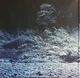 Foals - What Went Down (180 грам, Альбом) - зображення 2
