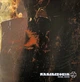 Rammstein - Reise, Reise (2 пластинки, 180 грамм, Альбом, Переиздание, Ремастеринг) - изображение 4