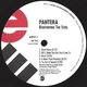 Pantera - Reinventing The Steel (Альбом, Переиздание) - изображение 4