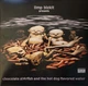 Limp Bizkit - Chocolate Starfish And The Hot Dog Flavored Water (2 платівки, Сірий, Непрозорий) - зображення 1