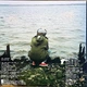 Mac Demarco - Another One (10-Year Anniversary Edition) (2 пластинки, Прозрачный, Лимитированое, Переиздание, Ремастеринг) - изображение 4