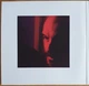 Roger Eno & Brian Eno - Mixing Colours (2 пластинки, 200 грамм, Альбом) - изображение 2