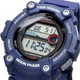 Чоловічий Спортивний Наручний Годинник CASIO WS-1300H-2AVEF - изображение 4