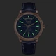Чоловічий Класичний Швейцарський Механічний Наручний Годинник AVIATOR V.3.20.2.225.4 - изображение 5