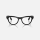 Смарт-очки Ray-Ban Meta Skyler Shiny Black/Clear S-M (RW4010 601/SB52) - изображение 2