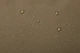 Спортивна сумка Thule Chasm Duffel 90L (Deep Khaki) 3205597 (TH 3205597) - зображення 11