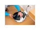 Робот-пилосос з вологим прибиранням Karcher RVF 7 Comfort (1.269-690.0) - изображение 10