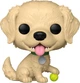 Фігурка Funko Pop! Pets 15 Golden Retriever 88327 (889698883276) - зображення 2