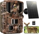 Фотоловушка Solareye Wildlife WiFi Bluetooth - 2.7K 48MP - изображение 1