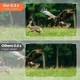Фотоловушка Solareye Wildlife WiFi Bluetooth - 2.7K 48MP - изображение 6