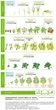 Биостимулятор Кропмакс (CROPMAX) Holland Farming 50 мл - изображение 8