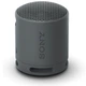 Портативна акустика Sony SRS-XB100 Black (SRSXB100B) - зображення 1