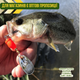 Блешня оберталка CONDOR FISHING Super Vibbra №3 8гр #115OR (5181_8_115OR) - зображення 4