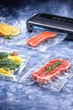 Вакууматор для продуктів вакуумний пакувальник для їжі побутовий з запаюванням сухих і вологих продуктів зберігання заморожування заморозки м’яса овочів вакуумування з відкачуванням повітря автоматичний ручний 110 Вт герметичні пакети 10 шт в комплекті - зображення 14