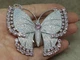 Серебряная брошь Бабочка с фианитами. 670061С - изображение 2