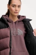 Жилетка жіноча The North Face 1996 Retro Nuptse XL Бордовий NF0A3XEPCAI1 - зображення 7
