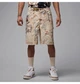 Шорты мужские Jordan Pg Aop Beige 30-TALL Бежевий HF9345-133 - изображение 2