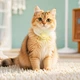 Трекер HOCO E91D Tiger smart anti-lost device(cat collar type) Black (6942007666091) - изображение 7