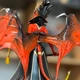 Фігурка з гри DOTA 2 Queen of Pain Королева болю, статуетка фанатська версія без коробки, 20 см (DOTA 0034) - зображення 6