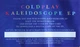 Coldplay - Kaleidoscope EP (Синий, 33 ⅓ об/мин, EP, Лимитированое) - изображение 6