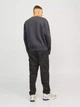 Джемпер мужской Jack & Jones 522911-02(Iron Gate) XL Серый (3001052258424) - изображение 2