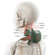 Массажер для шеи и плеч Shoulders & Neck электрический, с имитацией рук - изображение 6