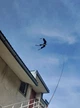 Відлякувач птахів Крук, від ворон, шпаків, бакланів, голубів.(комплект) - зображення 3
