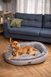 Лежак для собак Harley and Cho Donut Gray L 95x70 см (3102862) - изображение 9