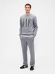 Спортивный костюм мужской утепленный GAP 355581199 L Серый (1159854795) - изображение 1