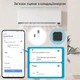 Термометр Chatthen T13 2 шт. White (R4656131820250) - зображення 6