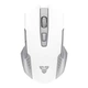 Игровая беспроводная мышь Fantech WG-10 RAIGORII, 6 кнопок, 800-2000 DPI, Win7/8/10 Mac OS, оптический сенсор PixArt FCT3065 White - изображение 1