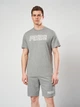 Футболка хлопковая длинная мужская Puma Essentials Graphics 69178703 XL Medium Gray Heather (4069161973864) - изображение 1