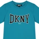 Футболка DKNY, арт. 60189, бирюзовый, 161 см, размер 16 - изображение 3