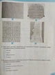 Історія та громадянська освіта 6 клас. Робочий зошит. А. Макаревич. Літера - изображение 5