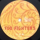 Foo Fighters - Skin And Bones (2 пластинки, Альбом, Переиздание) - изображение 5